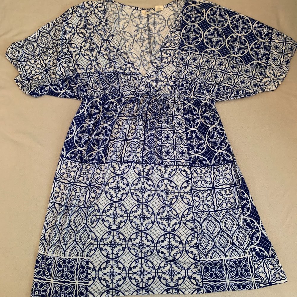 Allison Brittney Blue and White Dress